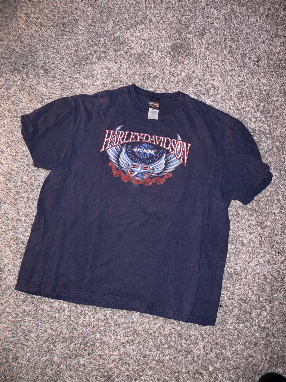 Harley-Davidson Navy Tee with Red and Light Blue Graphic